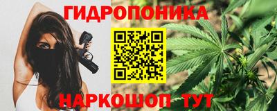 ешки Будённовск