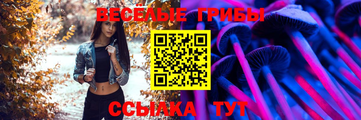 Галлюциногенные грибы мицелий  продажа наркотиков  Сургут  Вход с VPN 