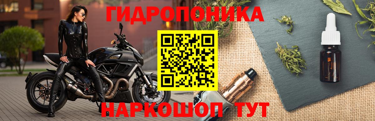 Каннабис семена  Каннабис план  Бошки марихуана планчик  Сургут  Вход с VPN 